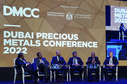 DPMC Panel 3