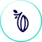 icon_cocoa