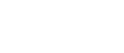 Shanghai Lingang logo 2