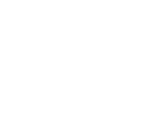 Denver logo white