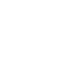 VV logo - white